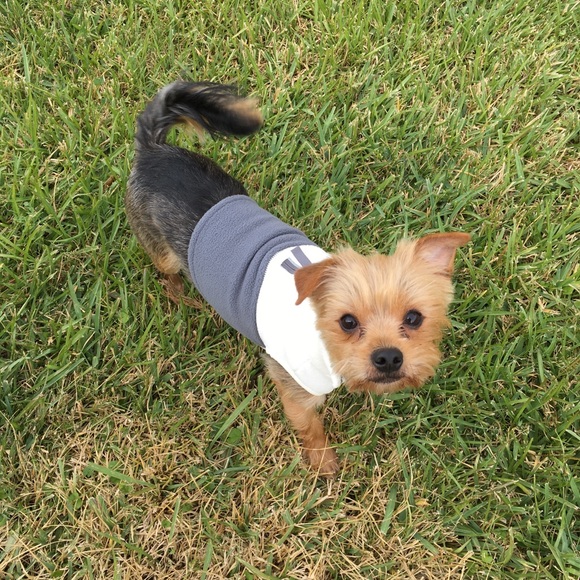 Meet your Posher, James - Picture 4 of 5